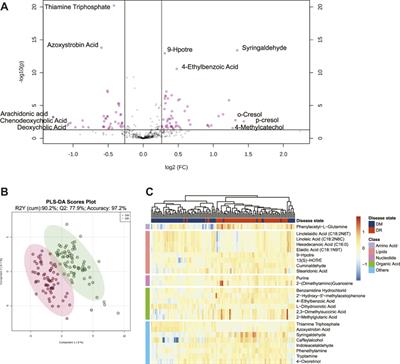 High-Coverage Serum Metabolomics Reveals Metabolic Pathway Dysregulation in Diabetic Retinopathy: A Propensity Score-Matched Study